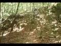 Motocross and Trials bikes