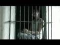 Vid�o :