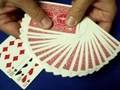 INTERACTIVE FLIP - Card Trick