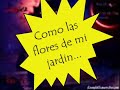 dias felices   salseroxsiempre
