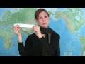 Box Cat Make TV No Pants