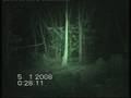 Malaysian Ghost Research - Cemetery Spirit in Mist Form.