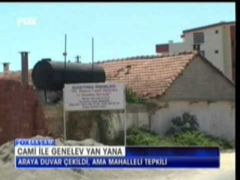 genelev