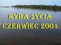 Ryba życia- nim wiosła od łódki zmieniłem na wiosła grające