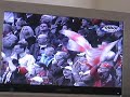 PSV - FC Twente 2008 GOAAAAL Farf�n: 30 seconds!!!!