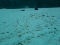 Zwei Trottel beim Schlittenfahren!