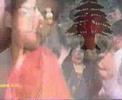 chady chalhoub debna ???? ????? ???? ? ????? chady chalhoub debna ???? ????? ???? ? ?????