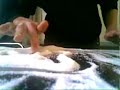 Art Attack Institutano Art Attack Institutano
