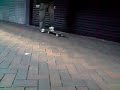 billy moreton- slo mo tre flip