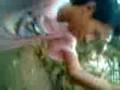 Video013.3gp