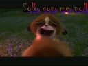 Con me no - Alessandro D\ Con me no - Alessandro D\