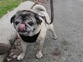 Shake it off, walk it off Shake it off, walk it off