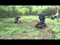 Mini Quads