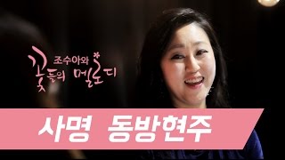 조수아의 꽃들의 멜로디