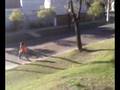 pobre bici