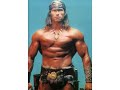 Arnold Schwarzenegger Anime-Freakin Hilarious - Conan Arnold Schwarzenegger Anime-Freakin Hilarious - Conan