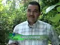 COSAS_BUENAS___Noticias___.flv