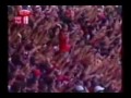 Flamengo tri pet