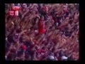 Flamengo tri pet