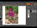 Photoshop Elements Quick Tip Photoshop Elements Quick Tip