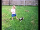 dog 3