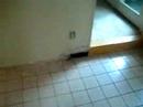 House Remodel #2