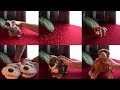 Pl�ss�k Valentin-napra