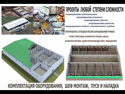 http://img.youtube.com/vi/wQLvziFRJ-4/0.jpg
