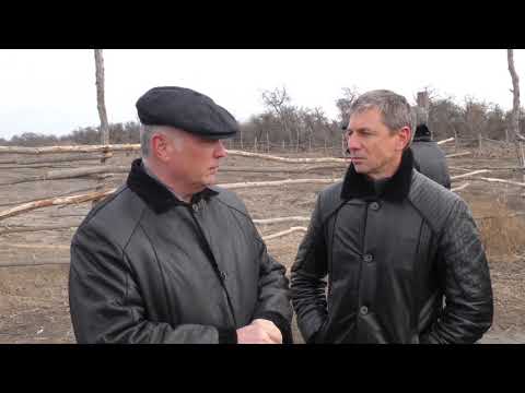 Просмотр видео