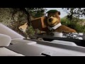 El Oso Yogui (Trailer Oficial) HD - Videos de Peliculas