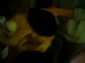 El mono ( discovery Channel) El mono ( discovery Channel)