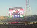 Houston Nutt