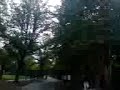 Paseo Vondelpark