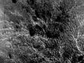Mars: Structures and Humanoids!
