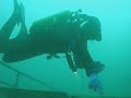 First dive of the year 2008 in the famous 
