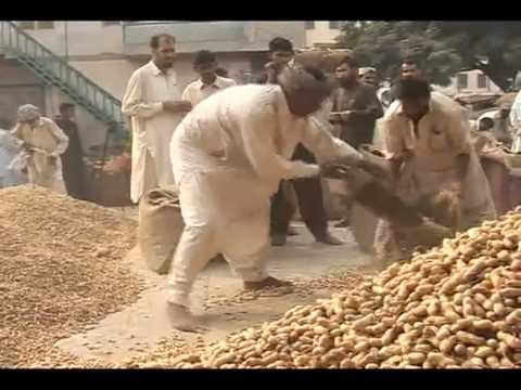talagang - http://talagangonline.com/ Lots of Fun here.