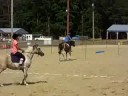 Blitz's First Games Comp. race 1
