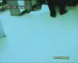 videos de Skopelitis8