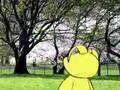 Jack, The Cuddly Dog - Trailer - Colors and Shapes