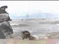 Sundress Story