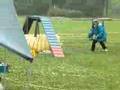 Shetland Sheepdog 20070630 Agility