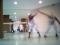 [CAPOEIRA ]  Corrente Libertadora Treino.