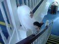 FUNNY KITTY - Bye Smuj