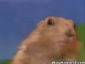 Most dramatic moment caught on tape!