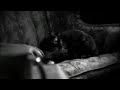 The Whisperer in Darkness