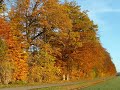Autumn Hymn