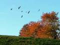 videos de Autumn Hymn
