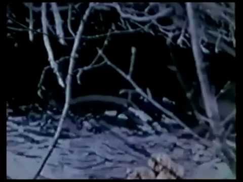 Art - Meet Me, Jesus (Walter Ungerer, 1966)