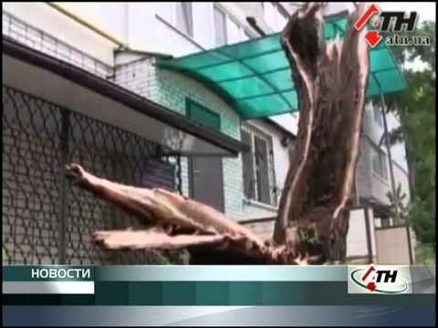 Смотреть видео