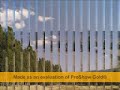 kucuk akoren koyu; 2007 goruntuleri bakmadan gecmeyin